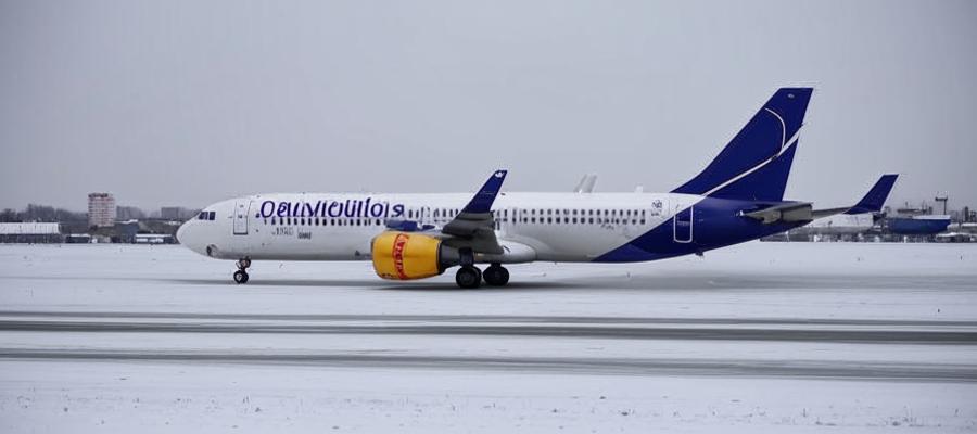 Зимние осадки нарушают расписание рейсов в московских аэропортах