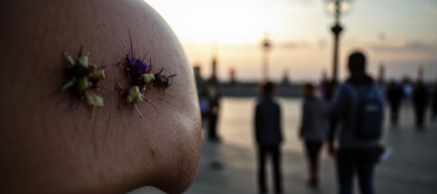 Петербургские туристы вернулись из Таиланда с укусами клещей